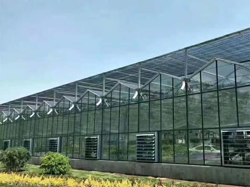 Ano ang Nagiging Kinabukasan ng Steel Vertical Farm ng Sustainable Agriculture?